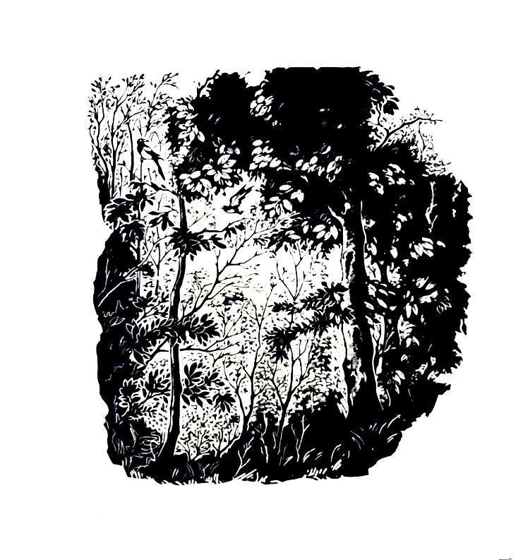 5 《郊外》（1960年）.jpg