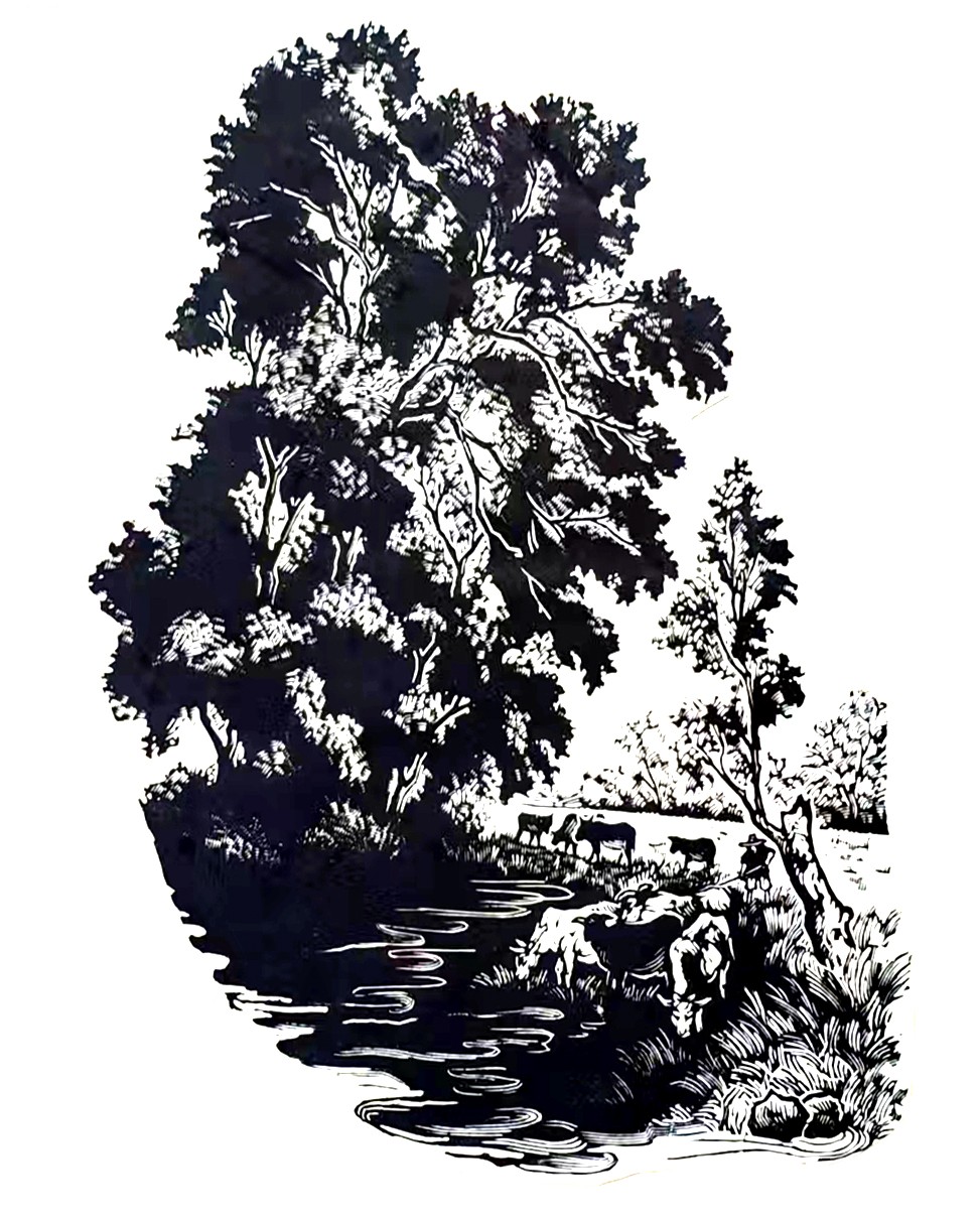 4 《放牛》（1962年）.jpg