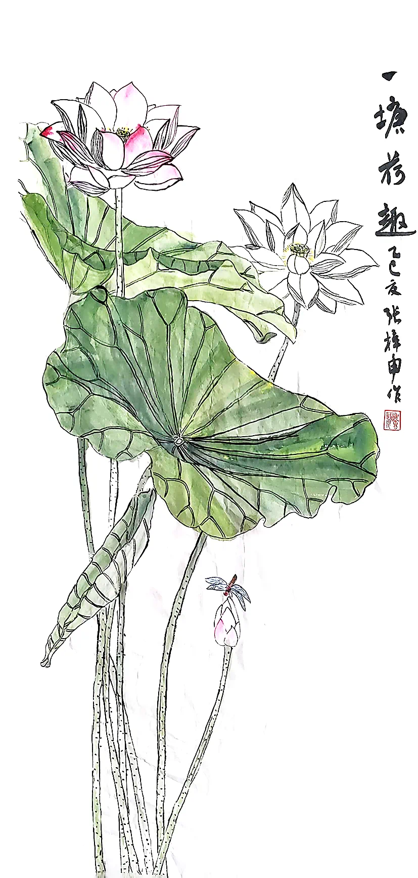 IMG_5531.png