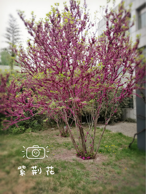 201604003_meitu_3.jpg